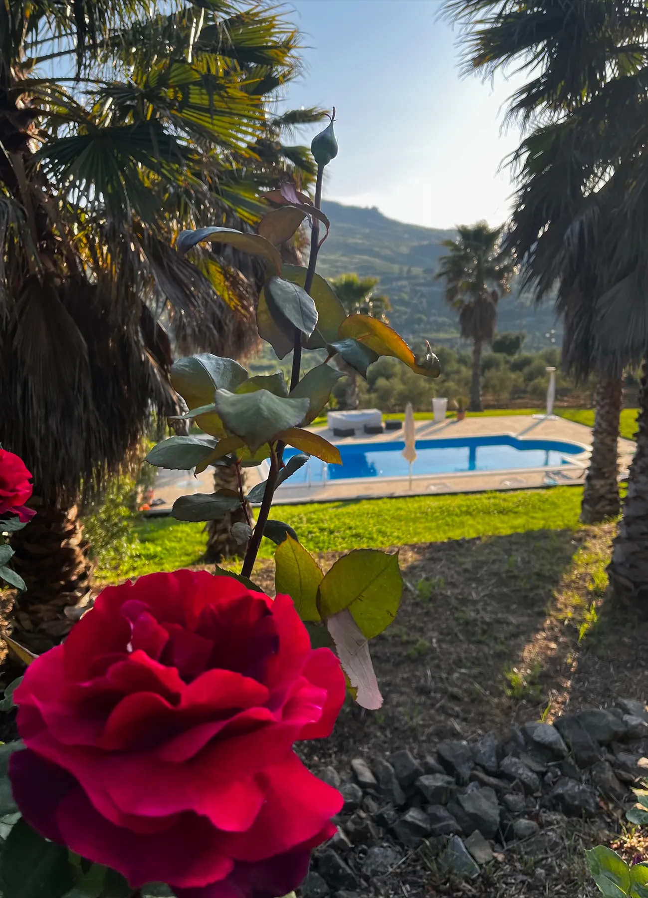 Villa Mario Caltavuturo luxury villa con piscina nelle Madonie
