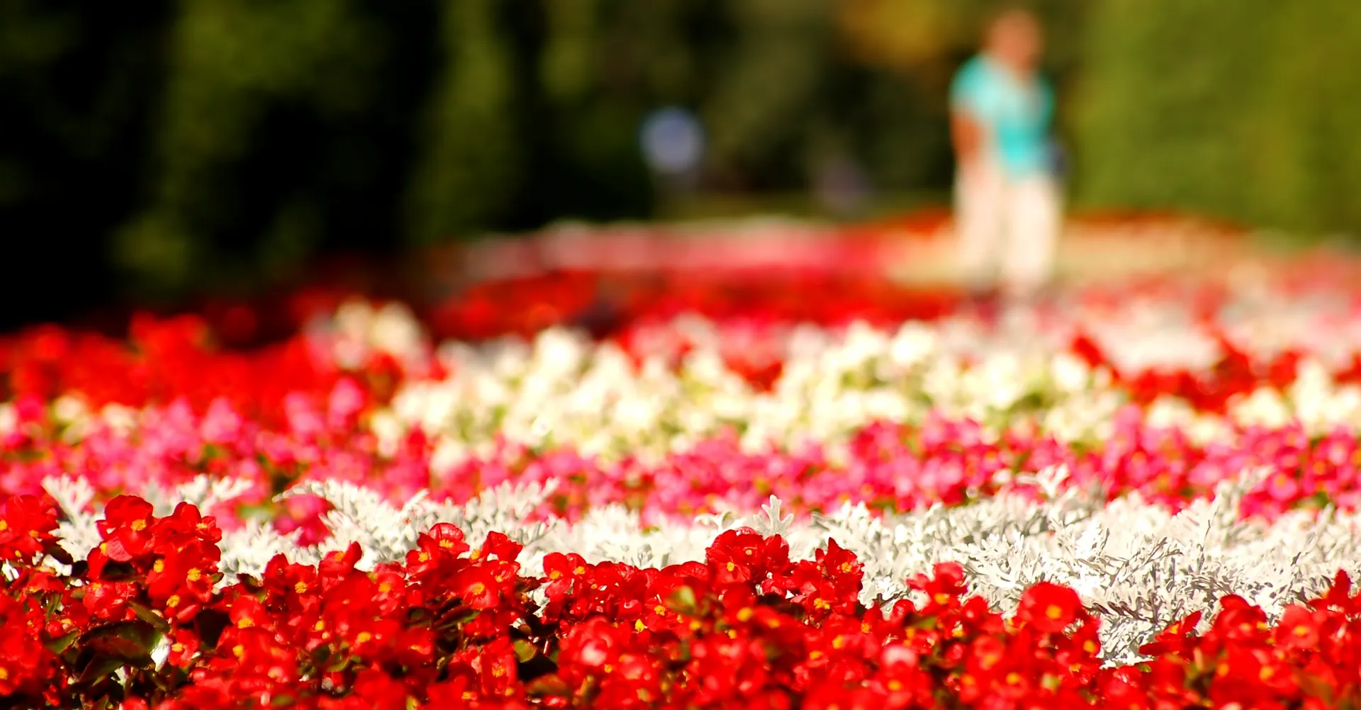 L’arte dei fiori: l’infiorata a Castelbuono